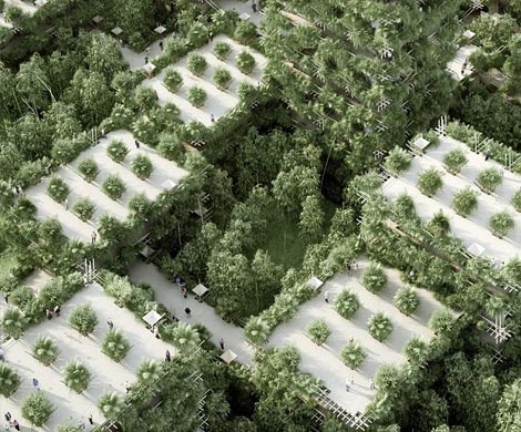 В Китае появится бамбуковый город, рассчитанный на 20 тысяч жителей