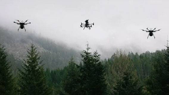 В Китае создали рой дронов, способный отслеживать человека в густом лесу