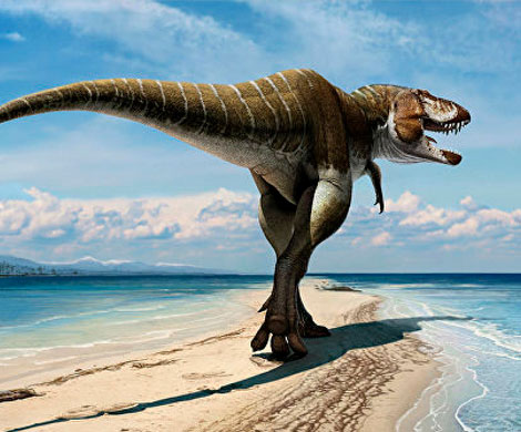 В Китае впервые обнаружили окаменелый след тираннозавра