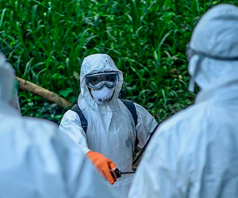 В Конго растет число заболевших Эболой