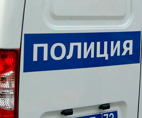 В квартире на шоссе Революции в Петербурге нашли два трупа