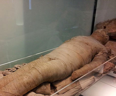 В квартире в Москве обнаружили мумифицированное тело женщины‍