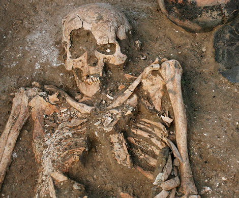 В Липецке на чердаке многоэтажки нашли скелет человека