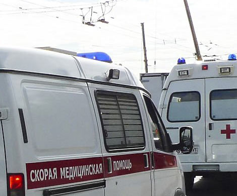 В Лужском районе женщина-водитель сбила 6-летнего мальчика‍
