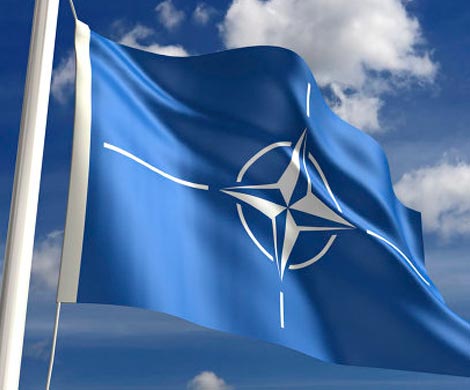 В НАТО назрел финансовый кризис?
