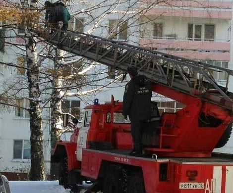 В Нижнекамске спасатели сняли с дерева замерзающего ребенка‍