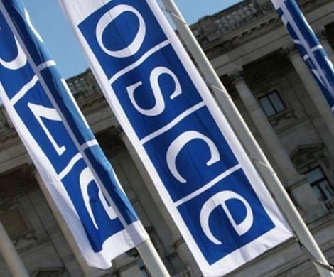 В ОБСЕ отказ РФ участвовать в сессии назвали «позором»