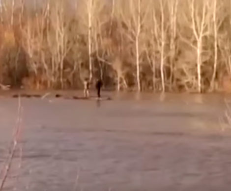 В Оренбуржье любителей селфи унесло на бревне по реке