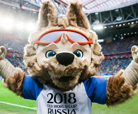 В победу национальной сборной на ЧМ-2018‍ верят 4% россиян 