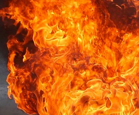 В Подмосковье при пожаре погиб шестилетний ребёнок‍