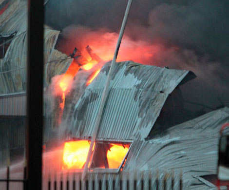 В пожаре на ростовском рынке «Уют» заживо сгорела собака-охранник