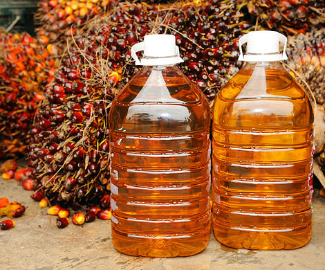 В РФ могут ограничить использование пальмового масла