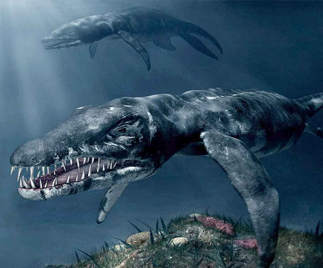 В России нашли останки неизвестного науке крупного морского ящера 