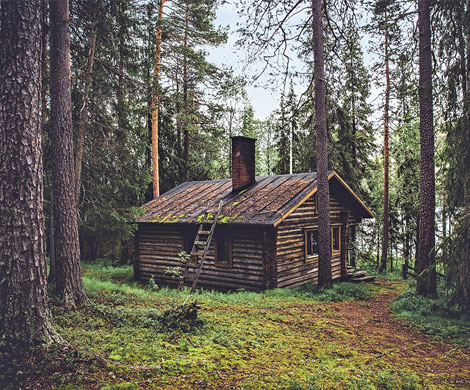 В России узаконят жилищное строительство в лесах