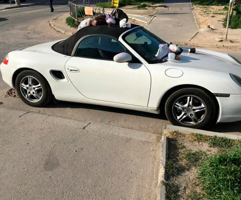 В Севастополе автохама на Porsche наказали мусором