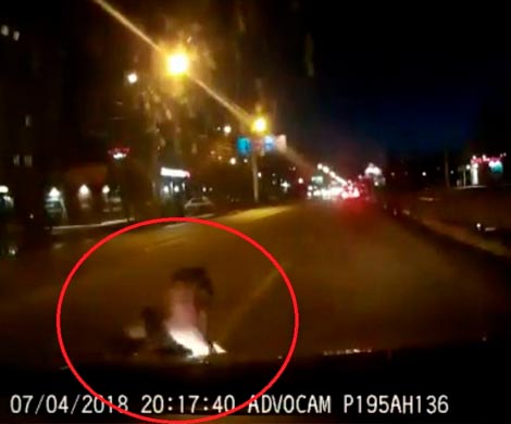 В Смоленске на видео попал пешеход, который бросался под колеса машин