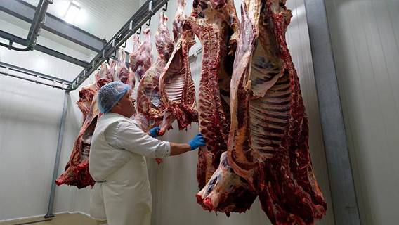 В Совете Федерации предложили отказаться от импорта мяса