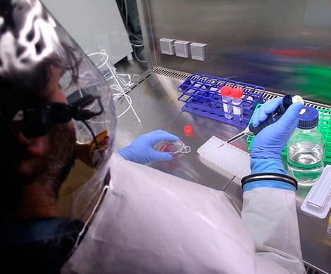 В США подтвердился второй случай заражения лихорадкой Эбола