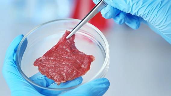 В США разрешили потребление выращенного в лаборатории мяса