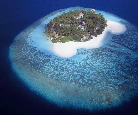 В Тихом океане обнаружен остров дальтоников 