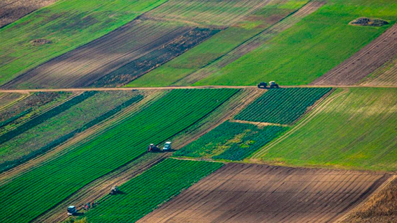 В угоду МВФ Украина может остаться без сельхозземли