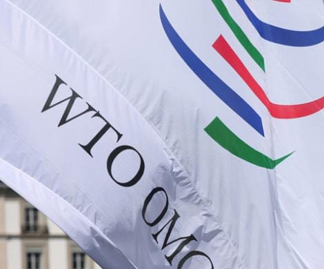 В ВТО приняли решение против России