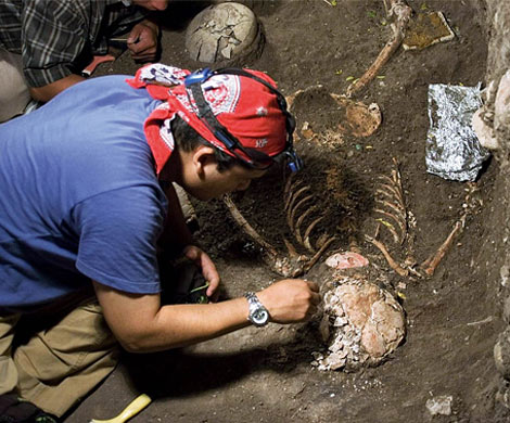 В ЮАР обнаружили кости неизвестного ранее предка человека