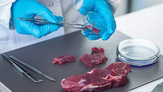 Великобританию призвали поддержать производство искусственного мяса для борьбы с климатическим кризисом