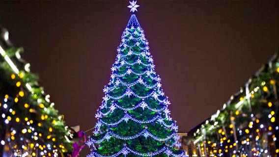 Власти Воронежа проигнорировали просьбы граждан сократить расходы на празднование Нового года