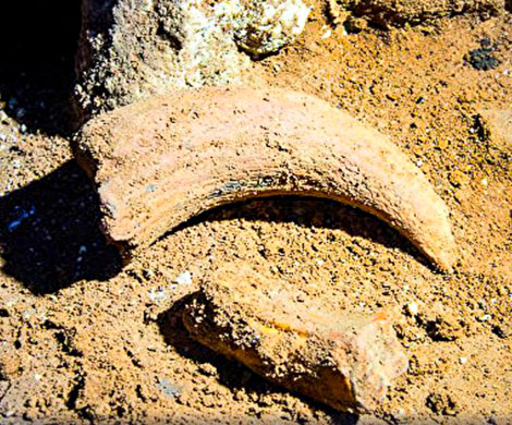 Во время строительства трассы "Таврида" обнаружили останки мамонтов‍