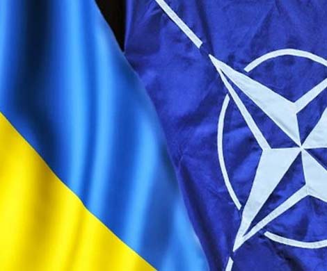 Быть Украине в НАТО или нет? Референдум даст ответ Быть Украине в НАТО или нет? Референдум даст ответ