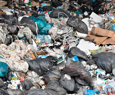 Воробьева «поздравят» мусорным протестом. И преемником?