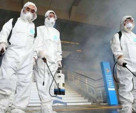 ВОЗ не считает MERS глобальной угрозой ВОЗ не считает MERS глобальной угрозой
