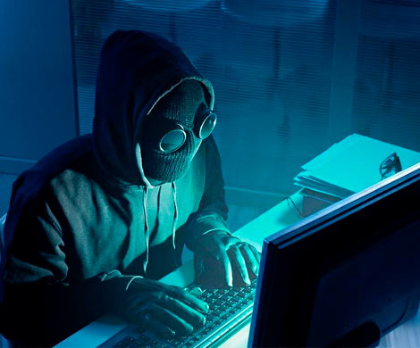 Хакеры слили в сеть личные данные тысяч зоофилов