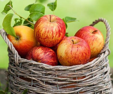 Яблоки защищают от 6 видов рака