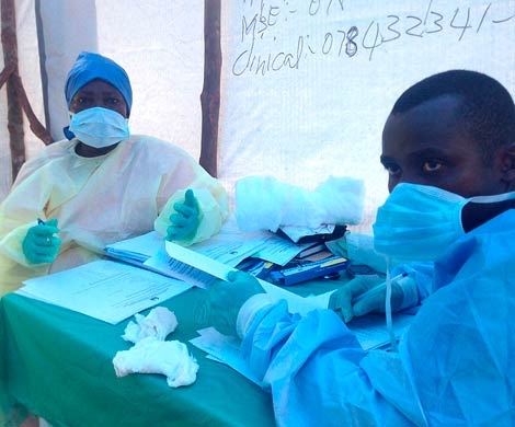 Эбола перекинулась на Центральную Африку