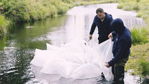 Экологи АО «РНГ» выпустили очередную партию мальков пеляди в водоемы Якутии