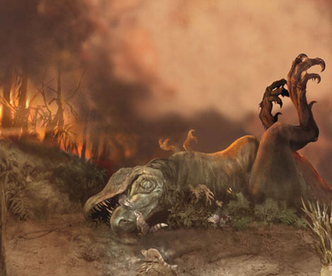 Эксперты предположили, что динозавров убило извержение вулканов