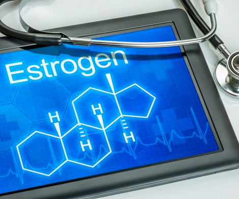 Эксперты рассказали о позитивных свойствах эстрогена
