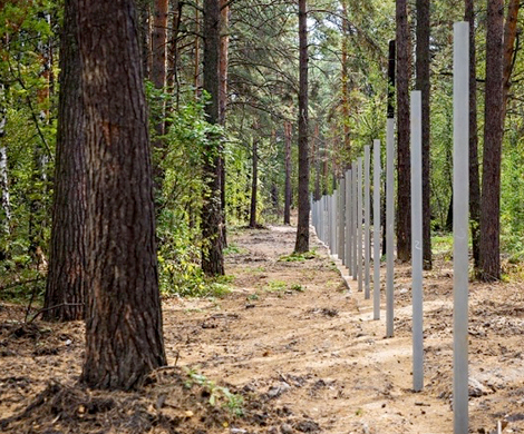 Строевой лес. Застройка лесов. Городской лес. Рекреационная зона в лесу. Зоны городских лесов.