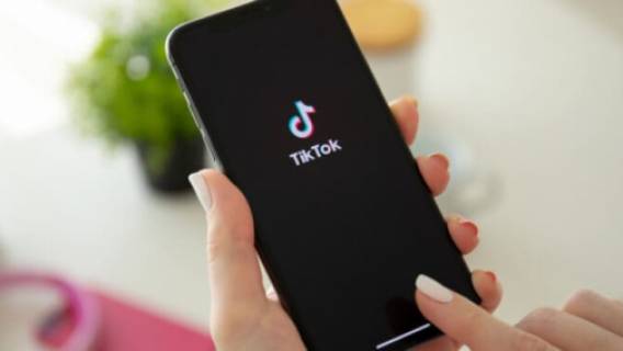 Зависимость от коротких видео меняет работу мозга и ведет к импульсивным решениям Зависимость от коротких видео меняет работу мозга и ведет к импульсивным решениям