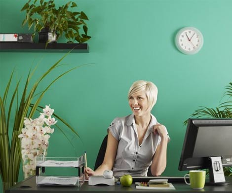 Живые растения в офисе повышают продуктивность сотрудников на 15%